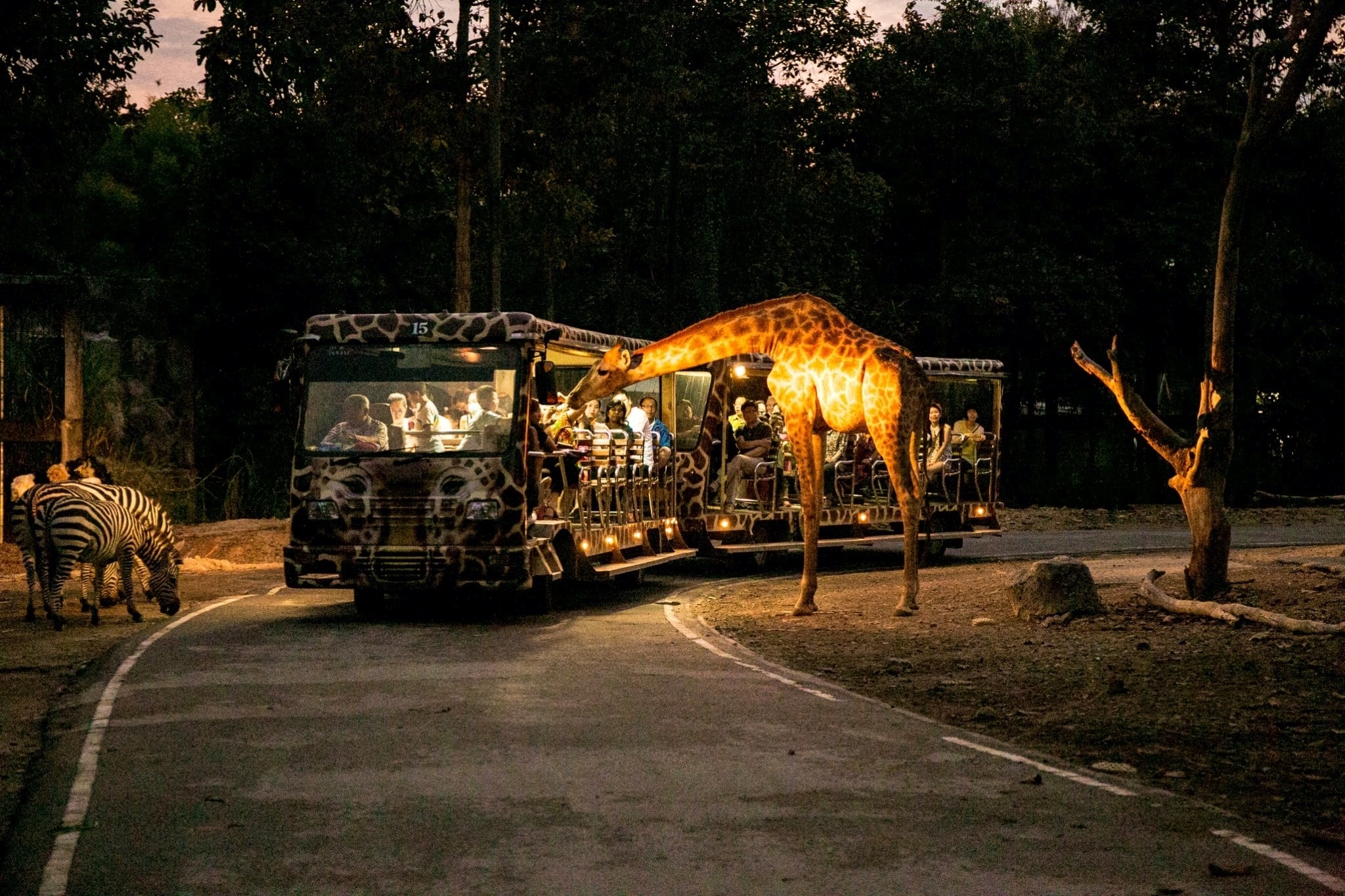 Private Singapore Zoo Transfer (Suv)