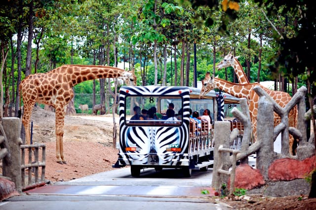 Private Singapore Zoo Transfer (Suv)