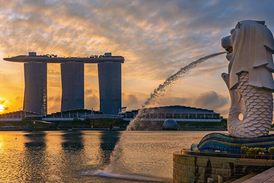 Singapore Private Airport Transfer – Van (9 Pax, 9 Luggage) | Singapore