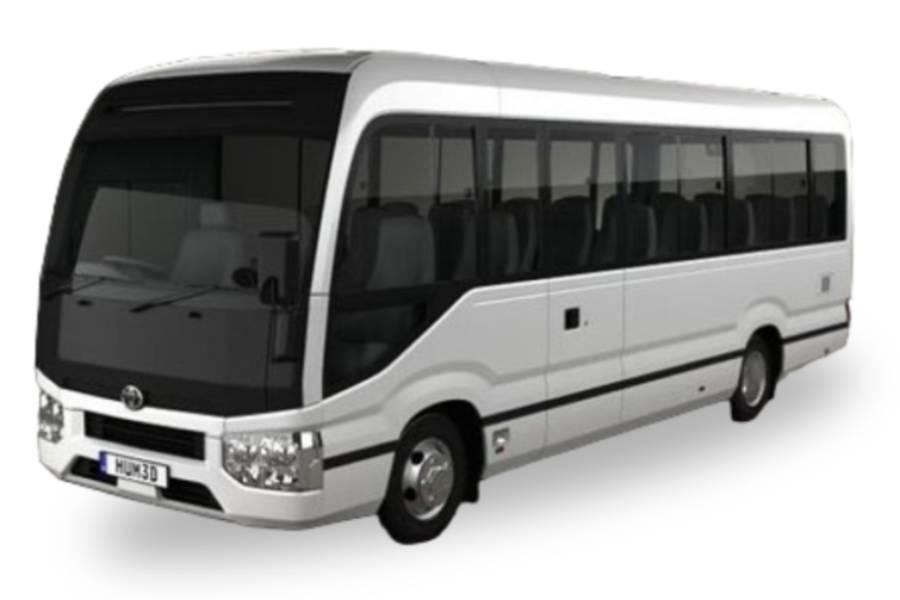 Singapore Transfer Package (COACH)