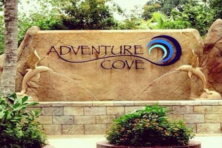 2–Way Private Adventure Cove Waterpark Transfer