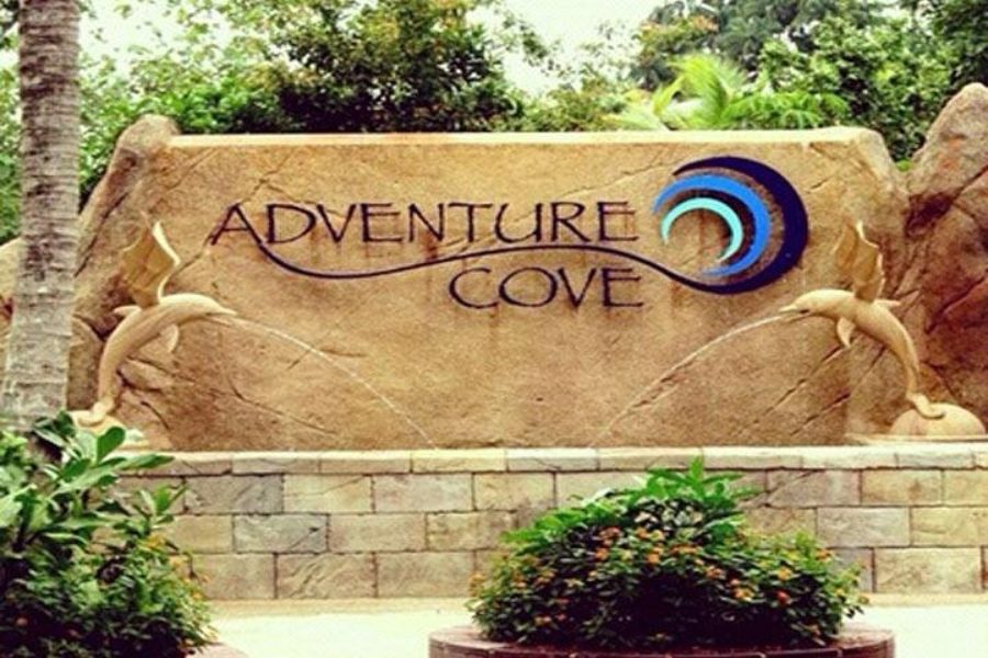 2–Way Private Adventure Cove Waterpark Transfer