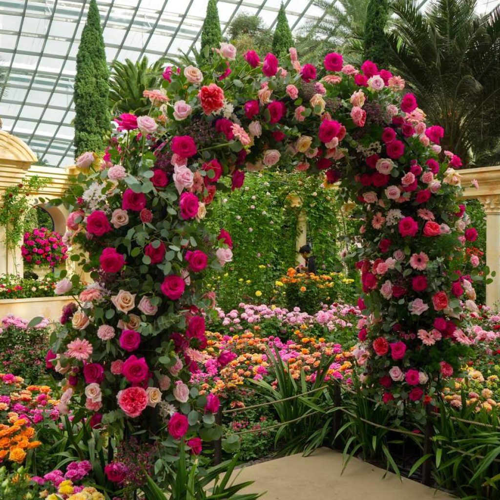 GardensbytheBayTicketinSingapore