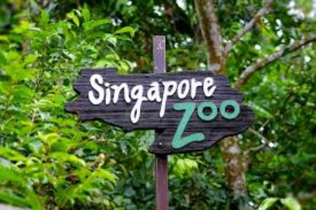 2–Way Private Singapore Zoo Transfer
