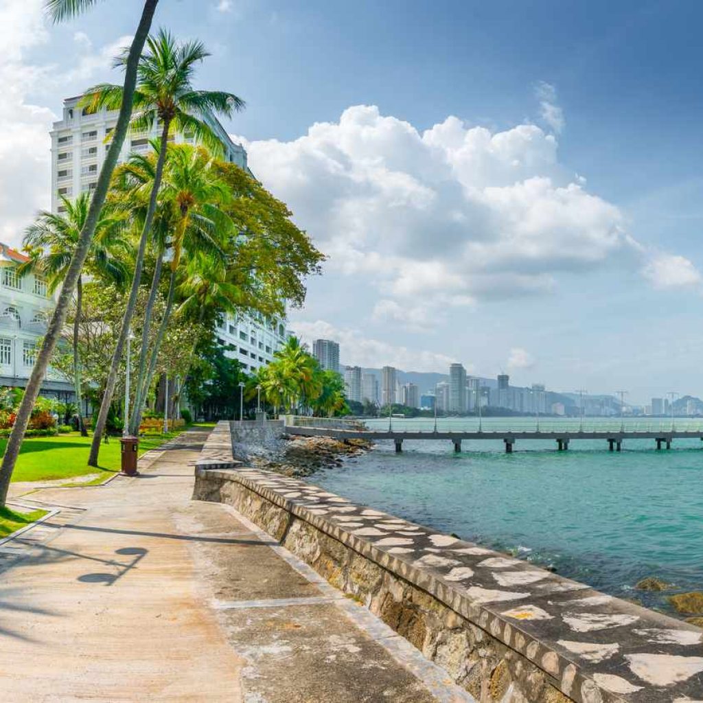 A scenic walkway alongside a body of water, flanked by tall palm trees, with a city skyline visible in the background under a partly cloudy sky.