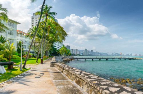 A scenic walkway alongside a body of water, flanked by tall palm trees, with a city skyline visible in the background under a partly cloudy sky.