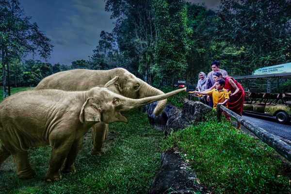 A group of elephants at the zoo, surrounded by numerous visitors observing the majestic animals.