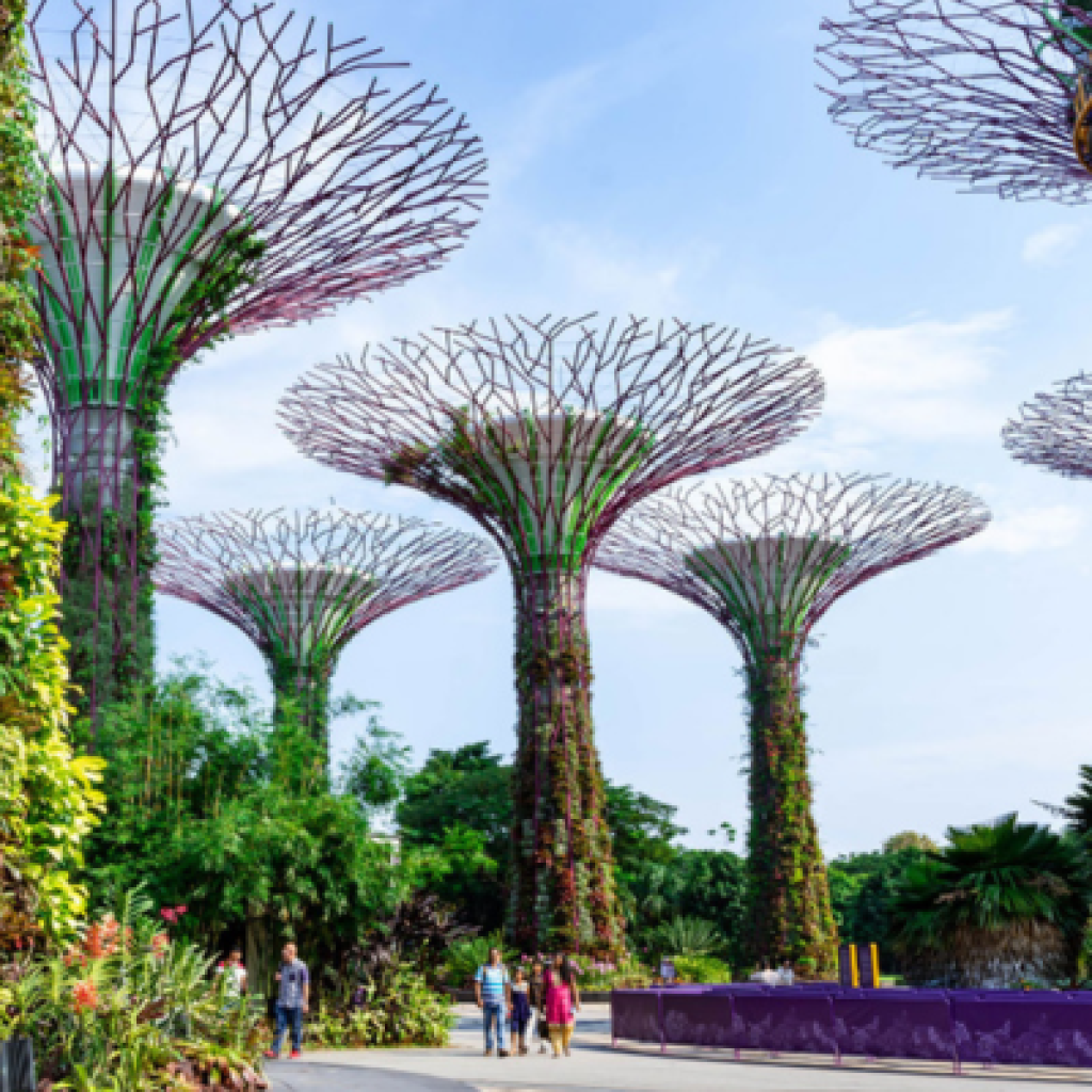 Lush greenery and futuristic structures at Gardens by the Bay, Singapore, showcasing nature and innovation in harmony.
