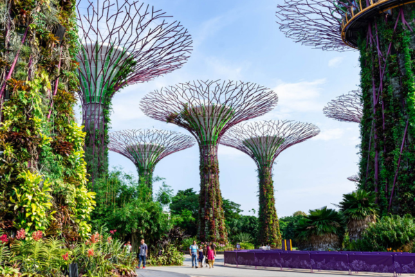 Lush greenery and futuristic structures at Gardens by the Bay, Singapore, showcasing nature and innovation in harmony.