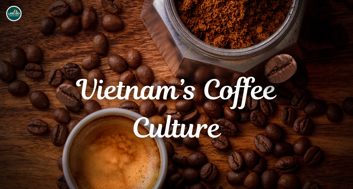 Exploring Vietnam’s Coffee Culture: Must-Try Cafés and Brews