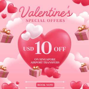 Valentines Day Sale checkout banner