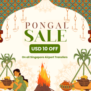 Pongal Sale Checkout banner