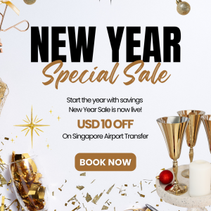 New Year Sale Checkout banner