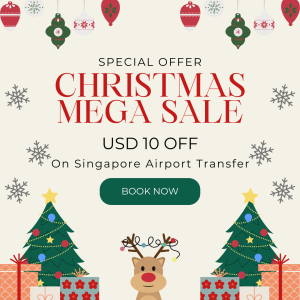 Christmas SG Sale
