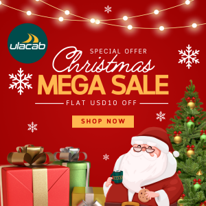 Christmas Flat 10 dollar off Image