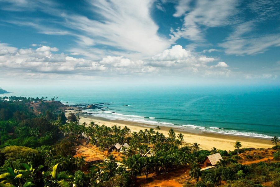 A scenic beach with trees lining the shore and a body of water stretching into the distance, under a partly cloudy sky.