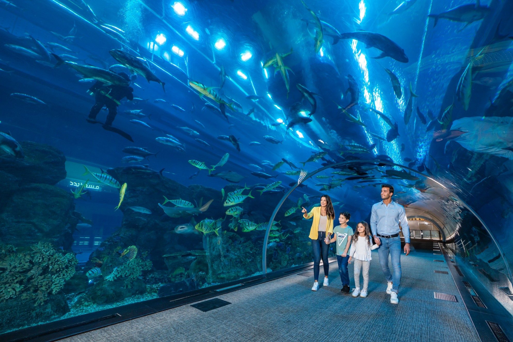 A group of people standing in a large aquarium, observing various fish and marine life swimming in the water, surrounded by colorful coral reefs and illuminated by aquarium lighting.