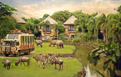 Bali Safari